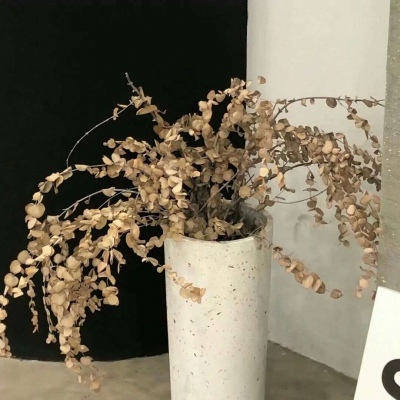 Furry绘画构图灵感兽圈群